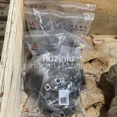 131301000254B001 SANY El conjunto del eje cruzado